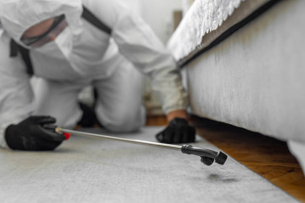 Professional Cockroach Control technician working in China, TX